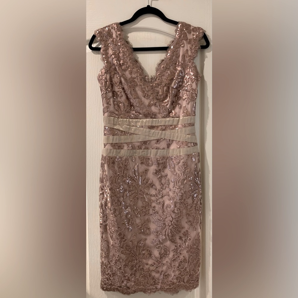 Tadashi Shoji • Paillette Embroidered Lace V-neck Dress • Size 4 • Dusty Rose